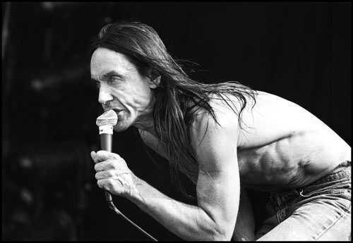 Iggy Pop