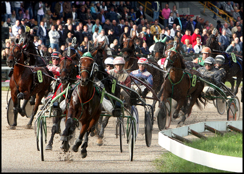 De Telegraaf Derby op Duindigt